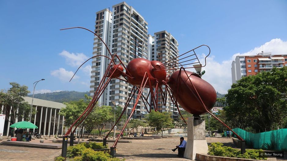 Foto: Peter Yeung