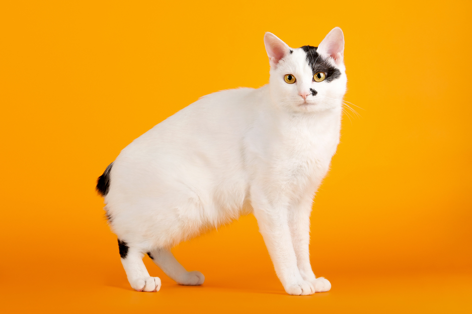 Ilustracija: Shutterstock
