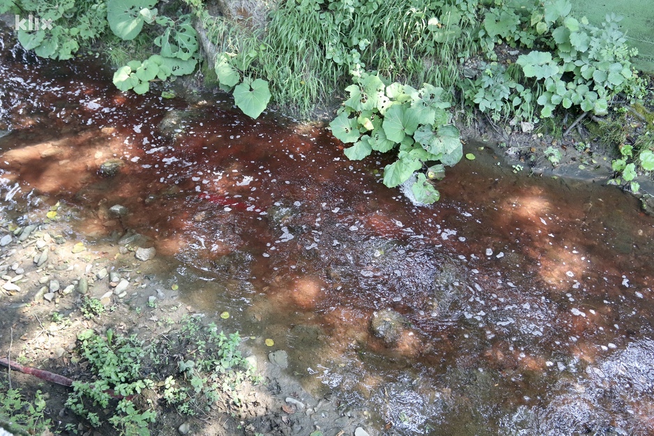 Foto: D. Ć./Klix.ba