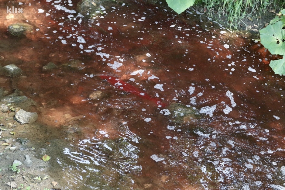 Foto: D. Ć./Klix.ba