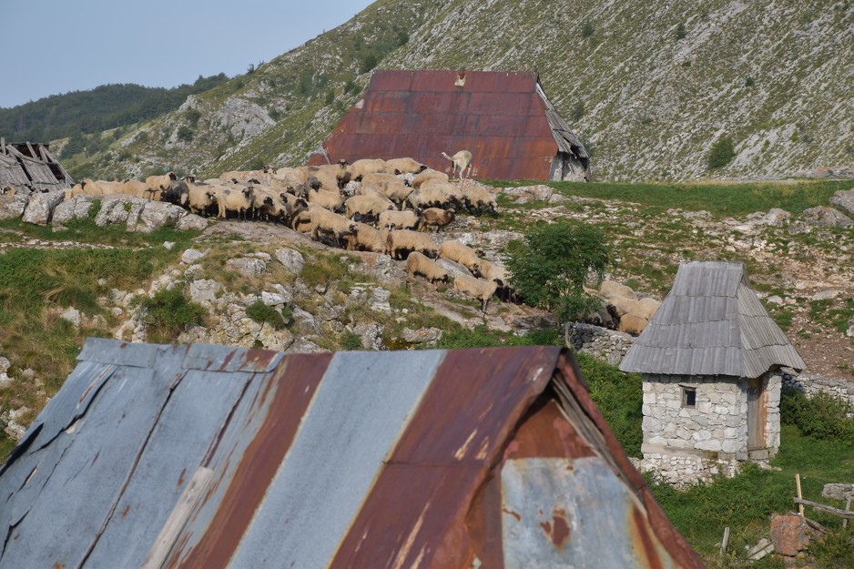 Foto: Igor Porobija