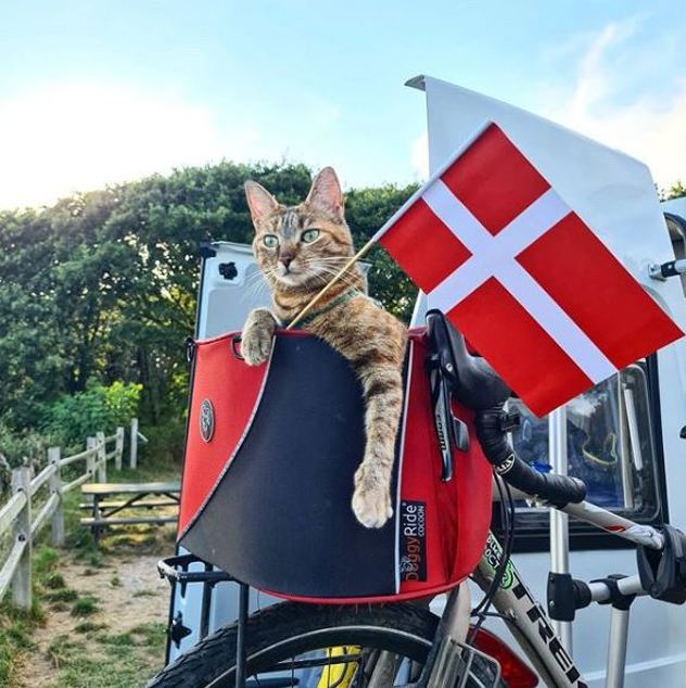 Dean Nicholson i Nala (Foto: Instagram 1bike1world)