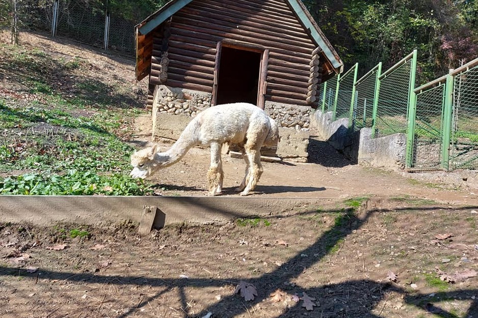 Skladišni prostori ispunjeni su potrebnim količinama sijena