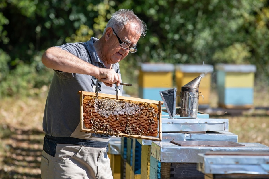 Foto: Grgo Jelavic/PIXSELL