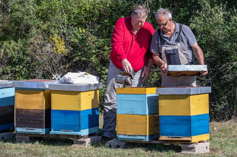 Foto: Grgo Jelavic/PIXSELL