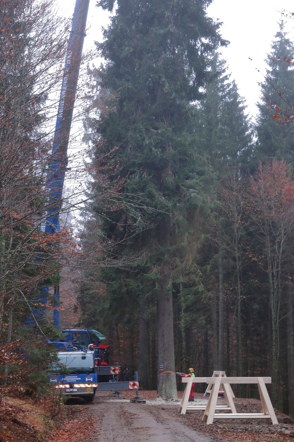 Bit će postavljena na trg ispred bečke Vijećnice