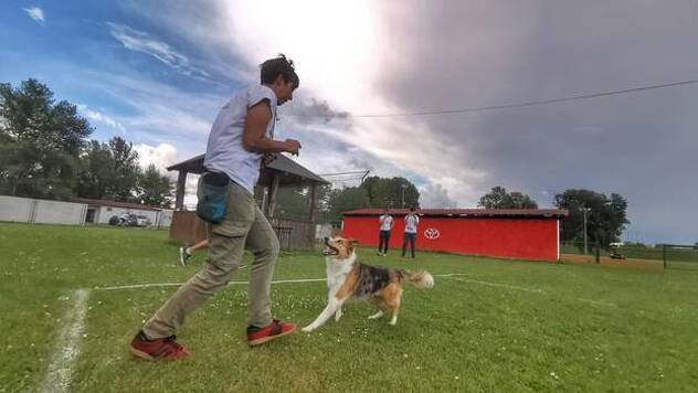 Pas Kota oborila dosadašnji rekord u hodu unazad na pet metara