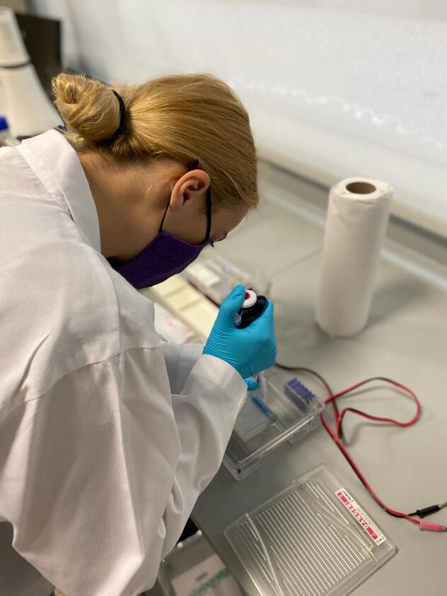 Zerina je osvojila nagrade na takmičenjima iz hemije i biologije, trenutno u COVID laboratoriji, Foto: Privatna arhiva
