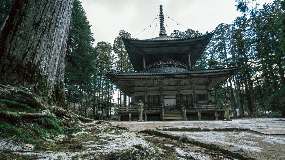 Od 117 hramova širom planine Koya-san, oko 50 služe kao gostionice shukubo, Foto: Shutterstock
