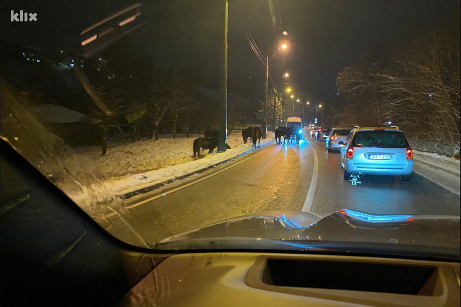 Konji su se jučer i danas našli na ulicama Hotonja (Foto: Čitatelj)