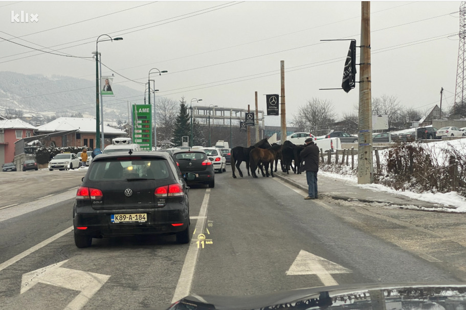 Neobičan prizor u blizini Sarajeva (Foto: Čitatelj)