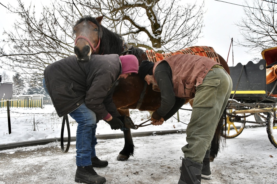 Fijakerdžije pomažu jedni drugima (Foto: I. Š./Klix.ba)