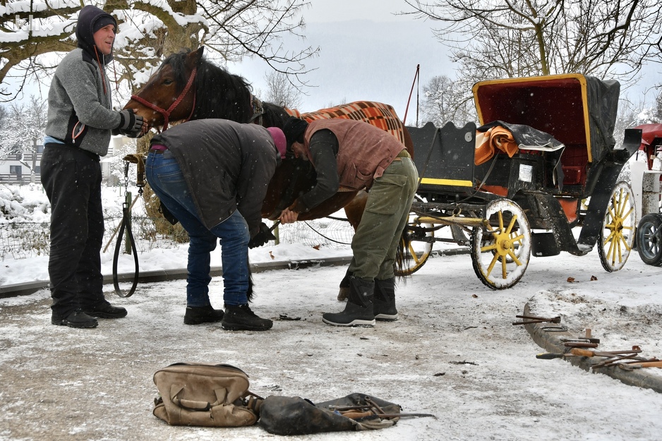 Potkivanje konja u Velikoj aleji (Foto: I. Š./Klix.ba)