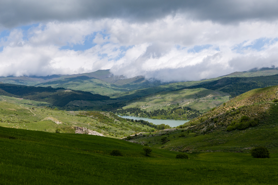Foto: Shutterstock