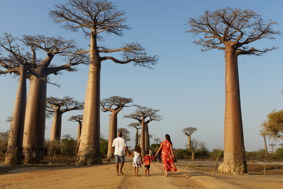 Madagaskar je šesta po redu zemlja i treći kontinent na kojem živi Ramajana