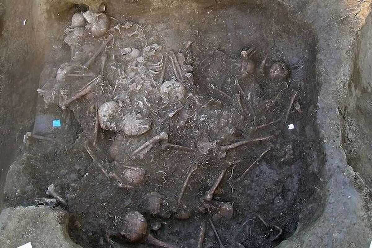 Masovna grobnica u Potočanima kod Požege (Foto: Hrvatski institut za antropološka istraživanja))