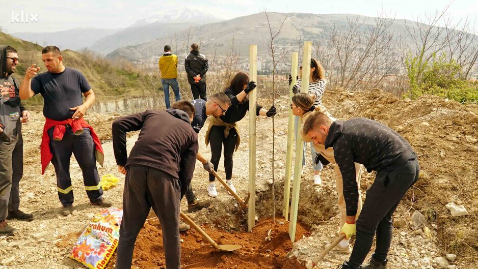 Akcija sadnje stabala (Foto: G. Š./Klix.ba)
