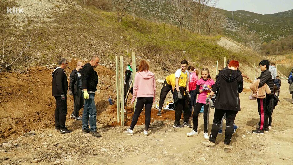 Posađeno 100 lipa (Foto: G. Š./Klix.ba)
