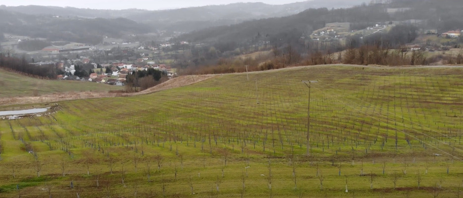 Fructum (Foto: USAID)