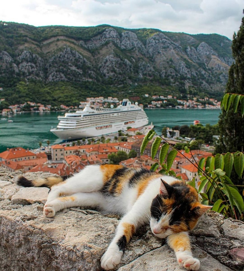 Kotor (Foto: Instagram)