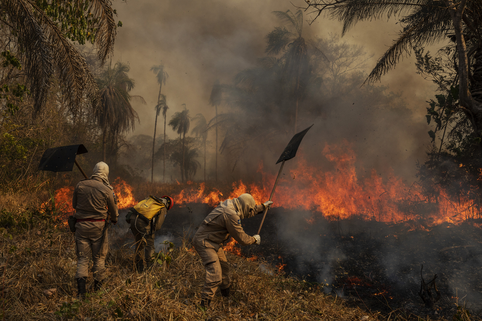 Foto: Lalo de Almeida, Brazil, Panos Pictures, za Folha de Sao Paulo