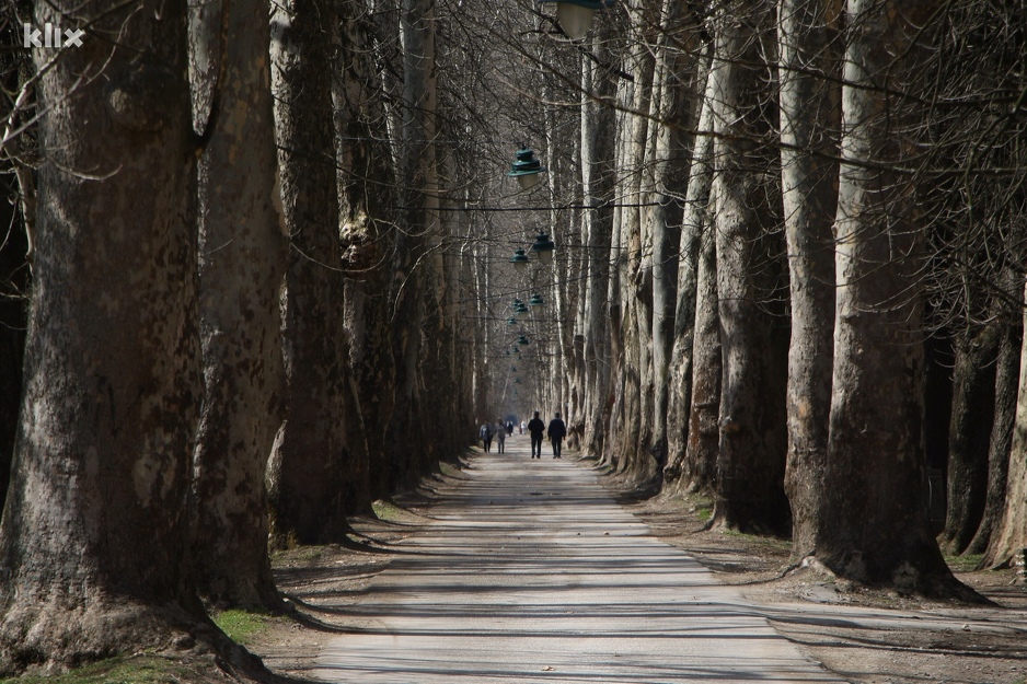 Velika aleja (Foto: H. M./Klix.ba)