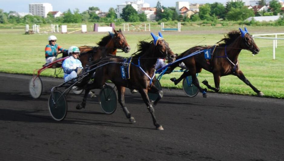 Možete li zamisliti Jokića da se bavi ovim sportom?