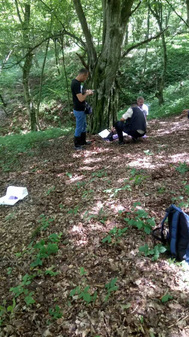 Ekshumacija na Kameničkom Brdu (Foto: Tužilaštvo BiH)