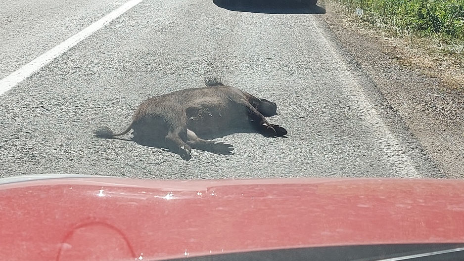 Foto: Čitatelj