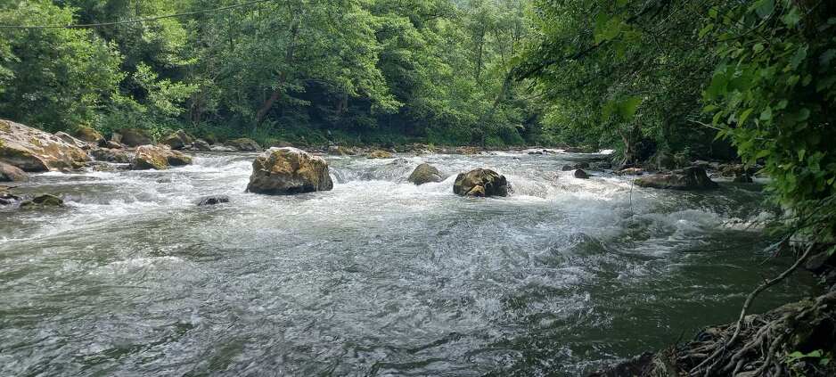 Vrbas