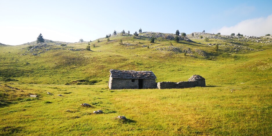 simon bogojević narath