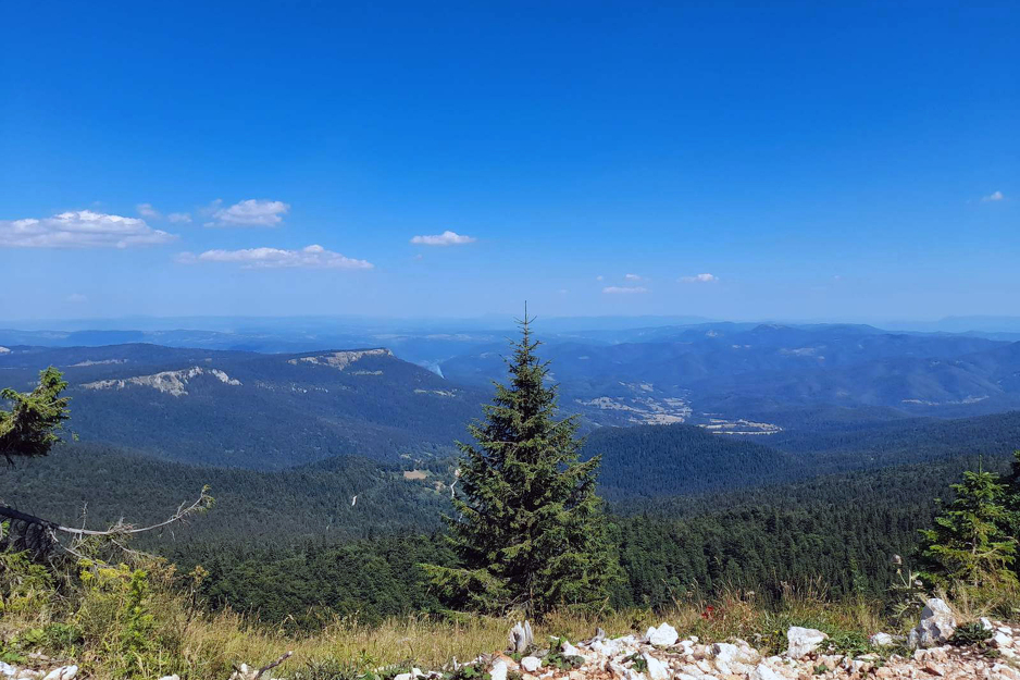 Požar na Ravnoj planini (Foto: SRNA)