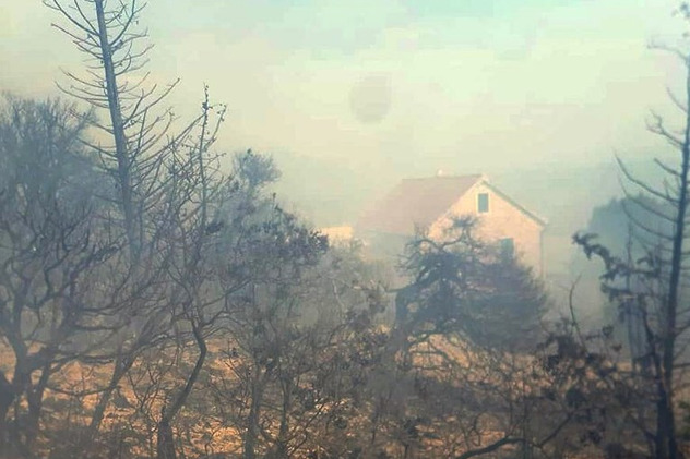 Požar na otoku Braču u Hrvatskoj (Foto: Index.hr)