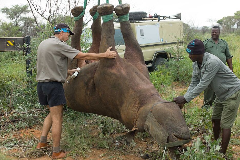 S ekperimenta u Namibiji (Foto: BBC/Robin Radcliffe)