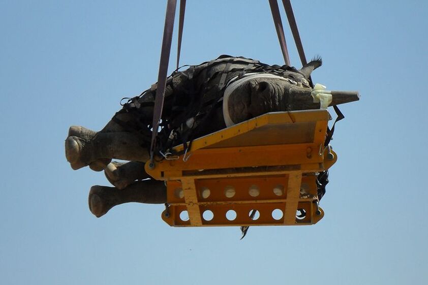 S ekperimenta u Namibiji (Foto: BBC)