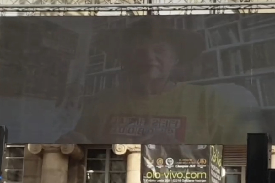 Osmanagić se obratio video-linkom (Screenshot: Youtube)