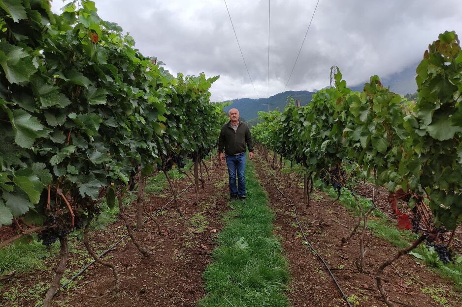 Oduvijek se želio vratiti u BiH