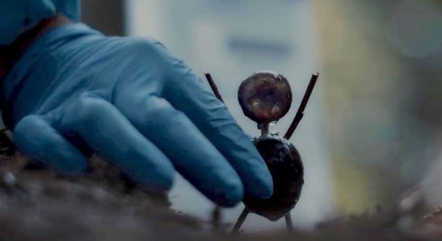 Danska serija The Chestnut Man