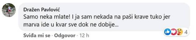 Pavlovićev komentar (Foto: 24sata.hr)