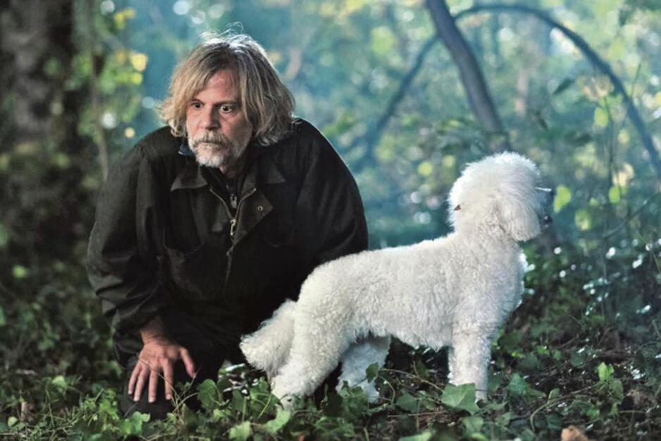 Srđan Todorović u filmu “Nije loše biti čovek”