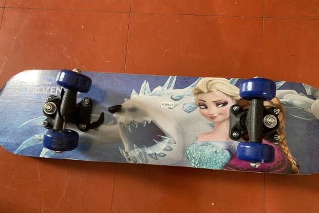 Skateboard Frozen