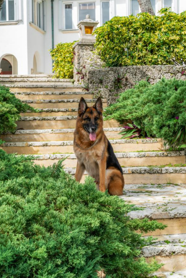 Gunther III (Foto: Architectural Digest)
