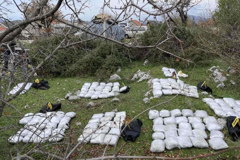 Oduzeta marihuana u Trebinju (Foto: SIPA)
