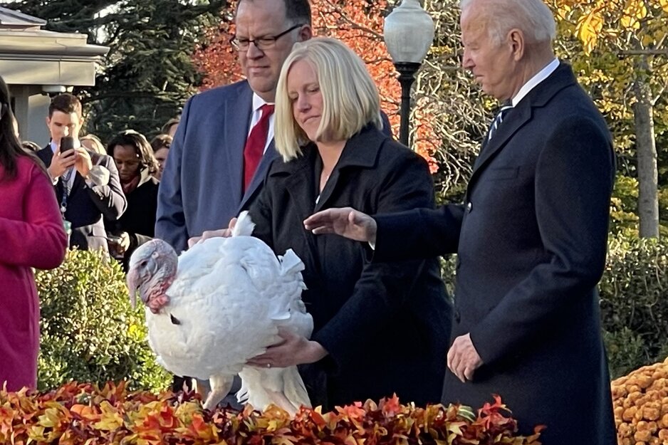 Bidenovo