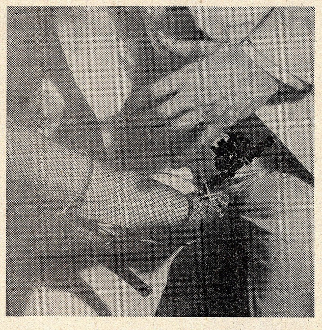 Foto: Yugopapir