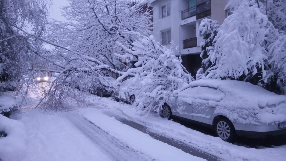Neprohodna ulica u naselju Dobrinja (Foto: Čitatelj)