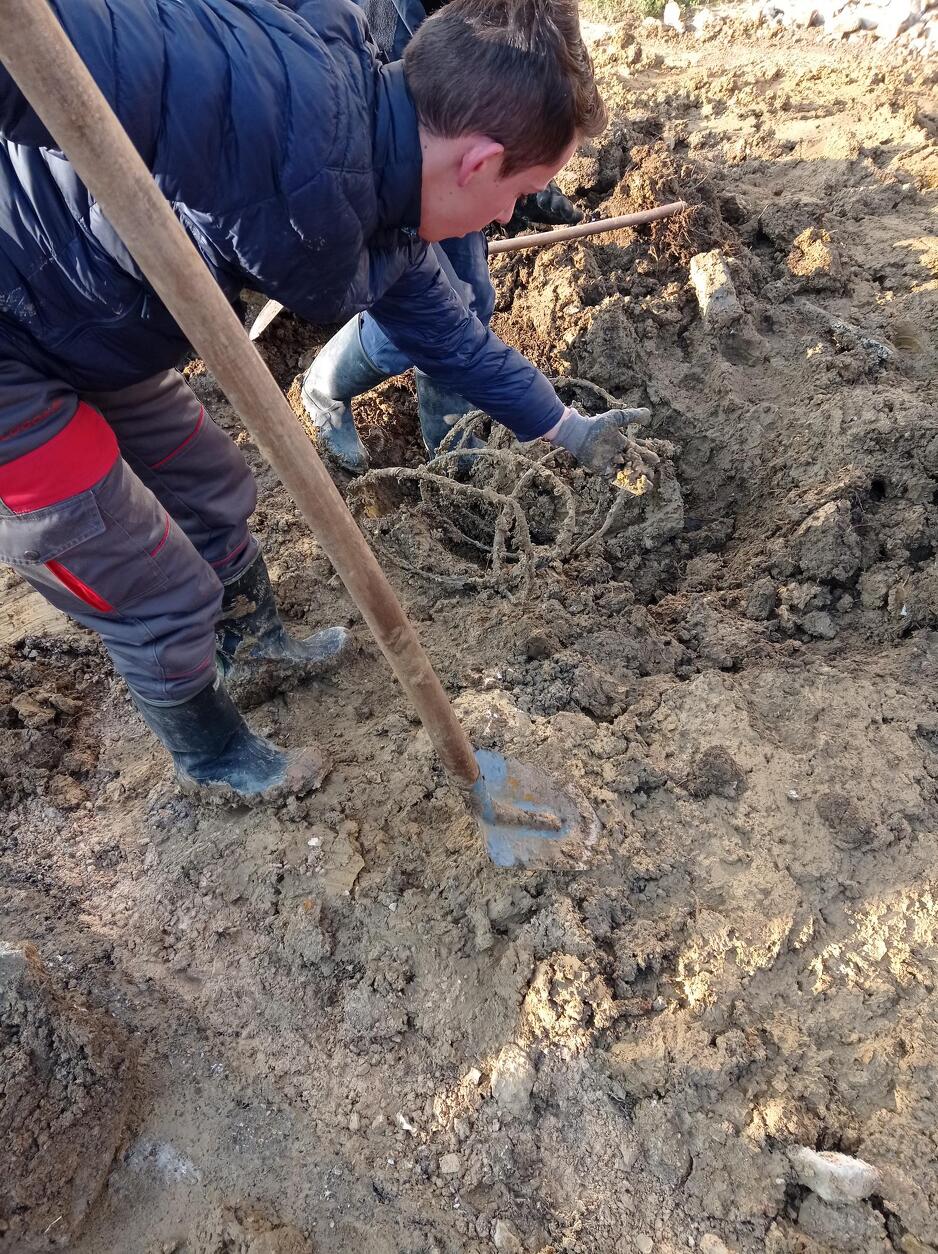 Tokom nenajavljenih radova prekinut optički kabal u krugu Građevinskog fakulteta (Foto: Logosoft)