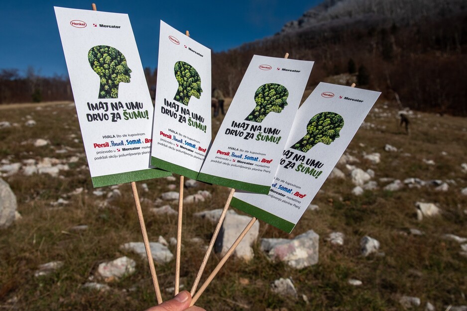 Na požarom uništenim predjelima Prenja zasađeno je 3.300 sadnica crnog bora