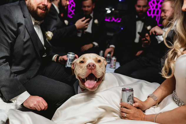 Foto: Meaghan Hall Photography/Caters News Agency