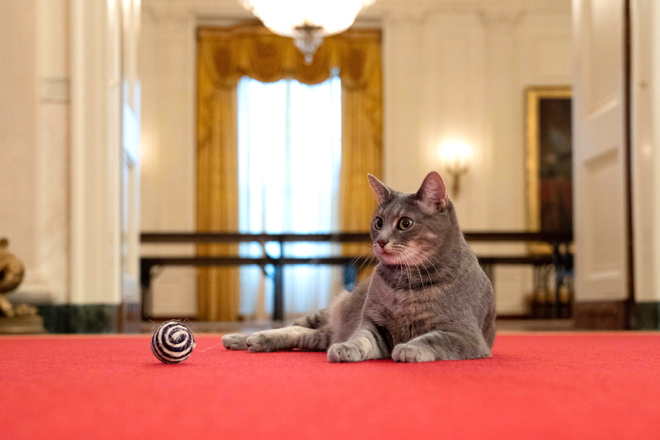 Foto: White House/Erin Scott